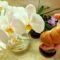 Ne bacajte ljusku od jaja – hrana za orhideje